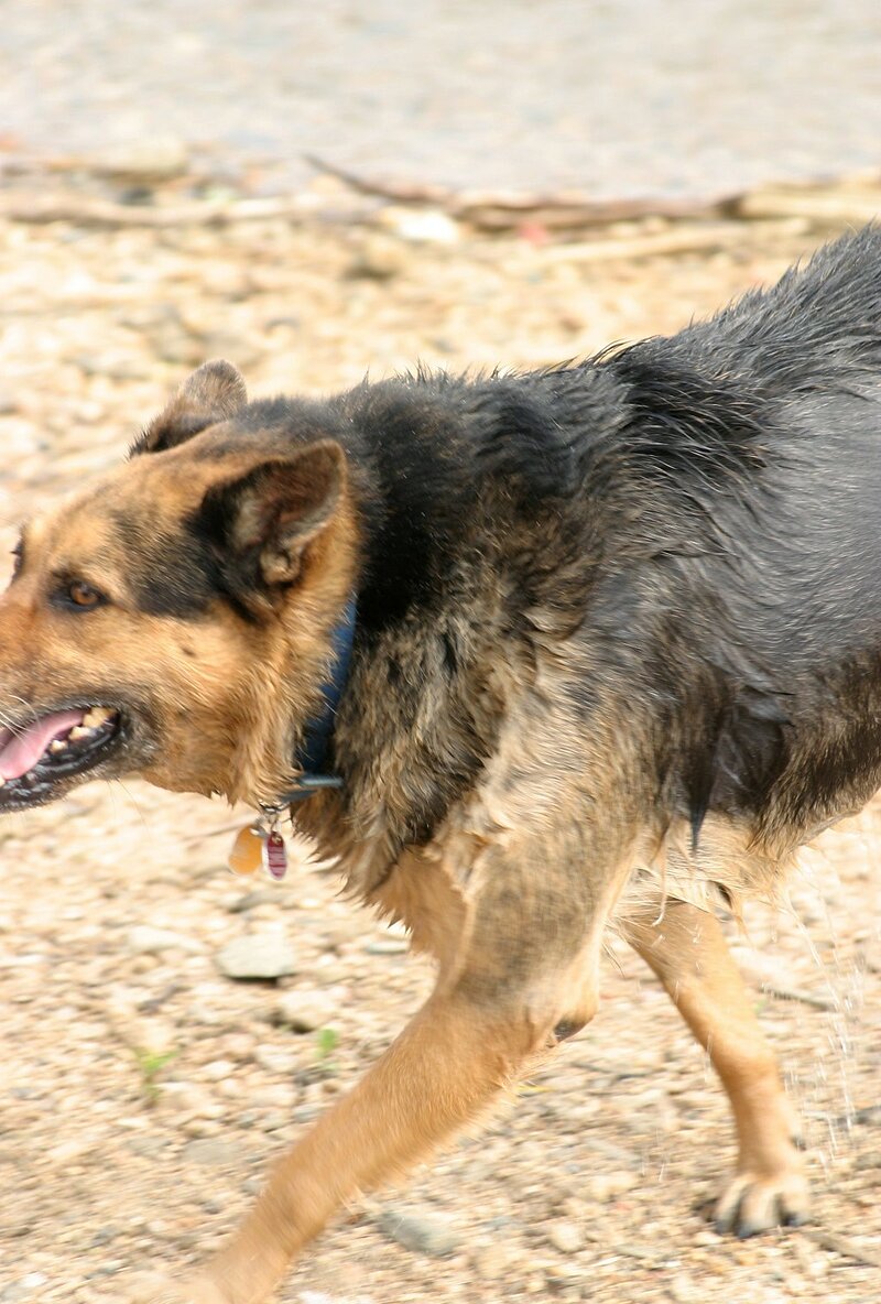 Мария, 23 года, 1 размер груди
